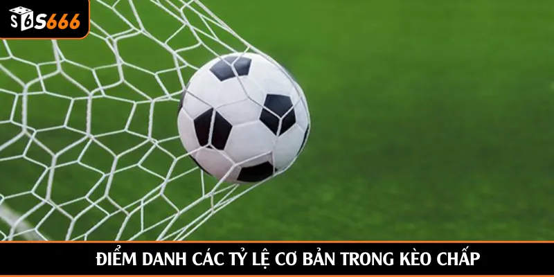 Điểm danh các tỷ lệ cơ bản trong kèo chấp